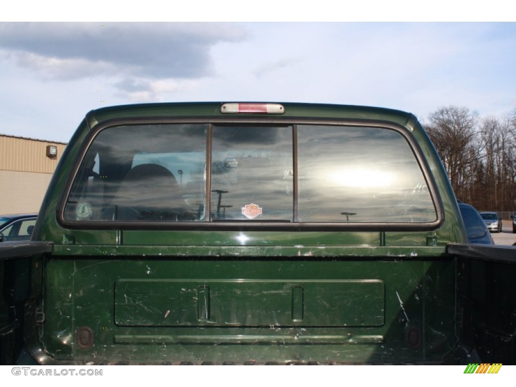 1999 F250 Super Duty XLT Regular Cab 4x4 - Dark Hunter Green Metallic / Medium Prairie Tan photo #12