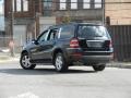 Black - GL 450 4Matic Photo No. 3