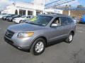Steel Gray - Santa Fe GLS 4WD Photo No. 6
