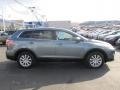 2010 Dolphin Gray Mica Mazda CX-9 Touring AWD  photo #2