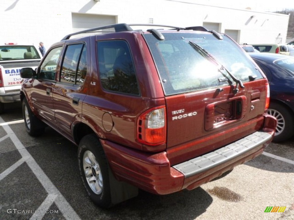 2002 Rodeo LS 4WD - Currant Red Mica / Gray photo #3