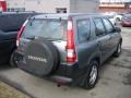 2006 Silver Moss Metallic Honda CR-V LX 4WD  photo #3