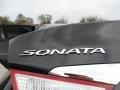 Midnight Black - Sonata GLS Photo No. 15