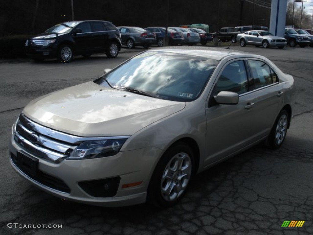 2010 Fusion SE - Smokestone Metallic / Medium Light Stone photo #4