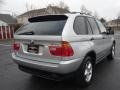 Titanium Silver Metallic - X5 3.0i Photo No. 3