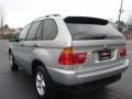 Titanium Silver Metallic - X5 3.0i Photo No. 4
