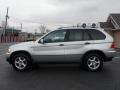 Titanium Silver Metallic - X5 3.0i Photo No. 9