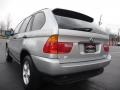 Titanium Silver Metallic - X5 3.0i Photo No. 13