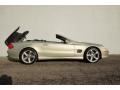 designo Silver Metallic - SL 500 Designo Edition Roadster Photo No. 68