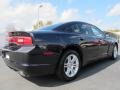 2011 Blackberry Pearl Dodge Charger SE  photo #4