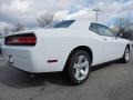 Bright White - Challenger SXT Photo No. 3