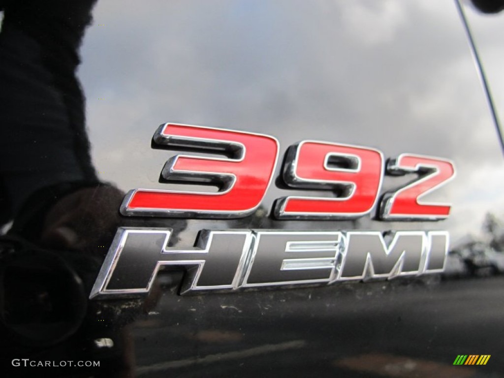 2012 Dodge Charger SRT8 Super Bee Marks and Logos Photo #61446474