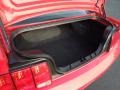 Dark Charcoal Trunk Photo for 2007 Ford Mustang #61447797