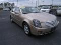 Sand Storm - CTS Sedan Photo No. 3