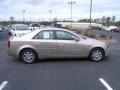 Sand Storm - CTS Sedan Photo No. 4