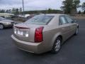 Sand Storm - CTS Sedan Photo No. 5