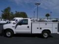 2006 Oxford White Ford F250 Super Duty XL Regular Cab Chassis Utility  photo #6