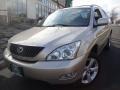 Savannah Beige Metallic - RX 330 AWD Photo No. 1