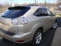 Savannah Beige Metallic - RX 330 AWD Photo No. 9