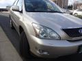 Savannah Beige Metallic - RX 330 AWD Photo No. 11