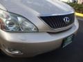 Savannah Beige Metallic - RX 330 AWD Photo No. 13