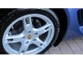Cobalt Blue - Cayman  Photo No. 7