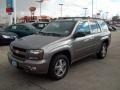 Graystone Metallic - TrailBlazer LT 4x4 Photo No. 5