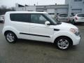 2010 Clear White Kia Soul +  photo #5