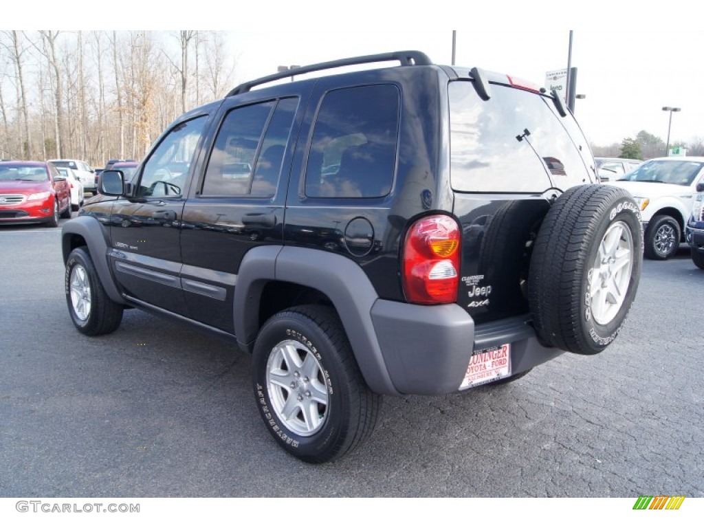 2002 Liberty Sport 4x4 - Black / Dark Slate Gray photo #31