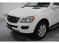 Alabaster White - ML 350 4Matic Photo No. 4