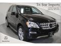 Black - ML 350 4Matic Photo No. 1