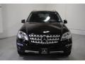Black - ML 350 4Matic Photo No. 2