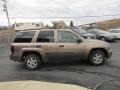 2003 Sandalwood Metallic Chevrolet TrailBlazer LS 4x4  photo #4