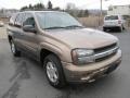 2003 Sandalwood Metallic Chevrolet TrailBlazer LS 4x4  photo #5