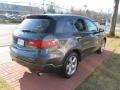 Polished Metal Metallic - RDX SH-AWD Technology Photo No. 5