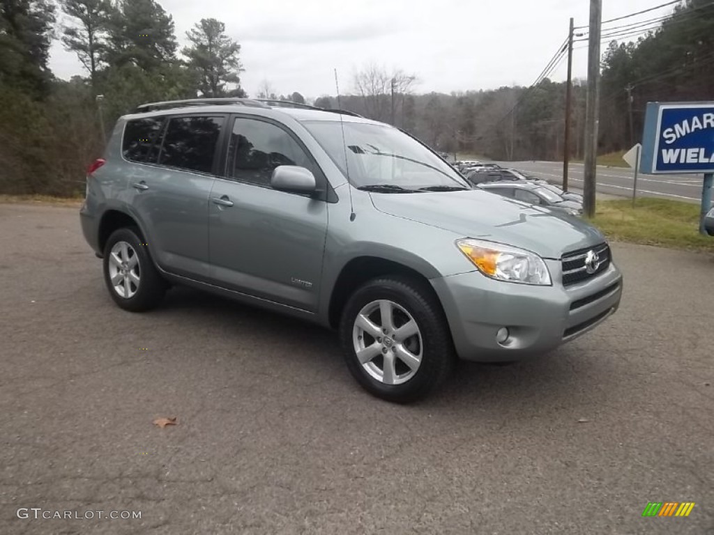 2007 RAV4 Limited 4WD - Everglade Metallic / Taupe photo #1