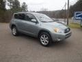 Everglade Metallic - RAV4 Limited 4WD Photo No. 1