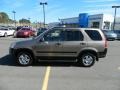 2004 Mojave Mist Metallic Honda CR-V EX 4WD  photo #2