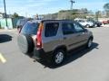2004 Mojave Mist Metallic Honda CR-V EX 4WD  photo #5