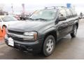 Dark Gray Metallic - TrailBlazer LS 4x4 Photo No. 1