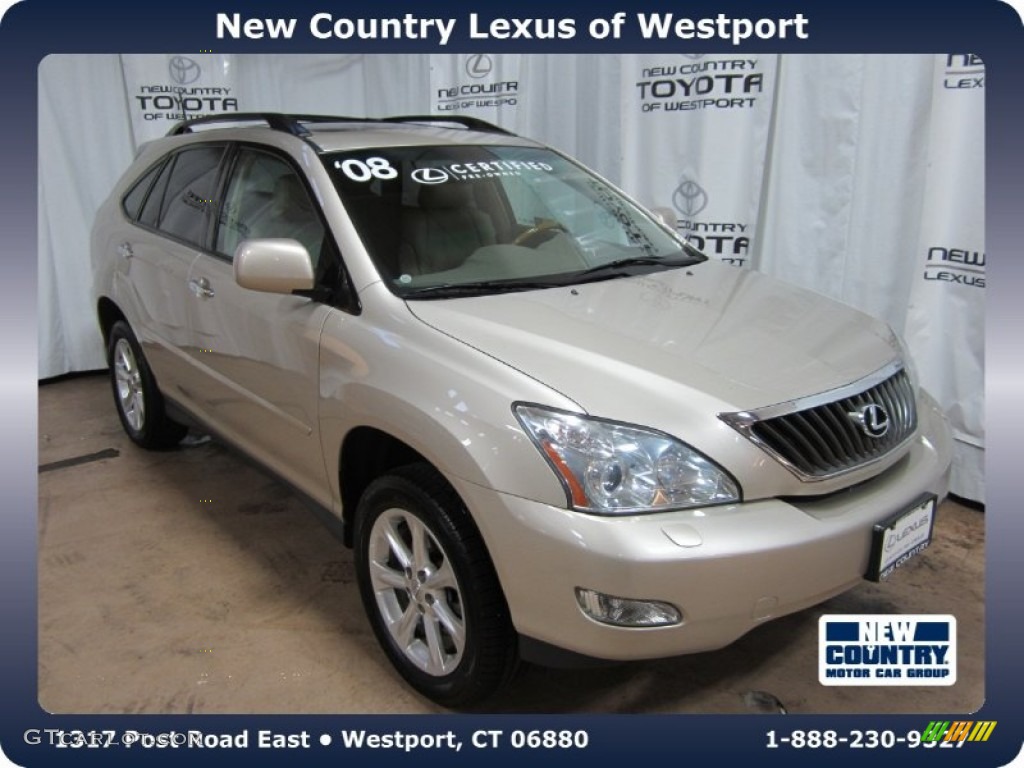 Savannah Metallic Lexus RX