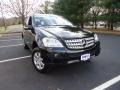 Black - ML 350 4Matic Photo No. 1