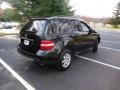 Black - ML 350 4Matic Photo No. 7