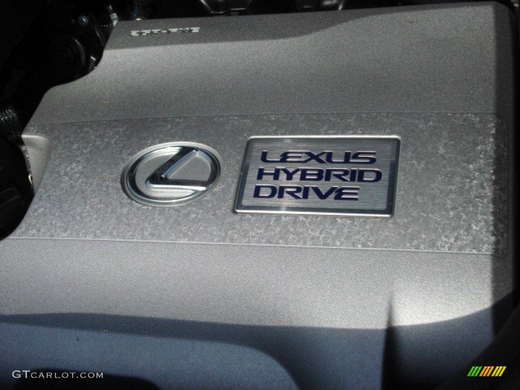 2010 RX 450h AWD Hybrid - Tungsten Silver Pearl / Light Gray/Espresso Birds-Eye Maple photo #29