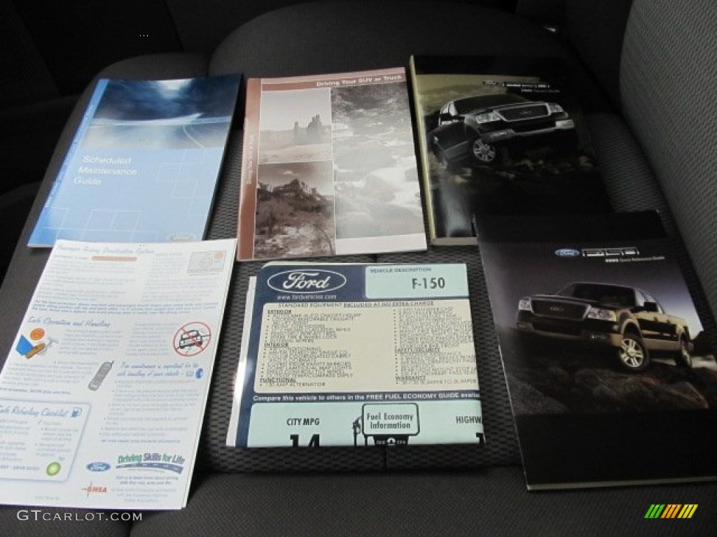 2005 F150 XLT Regular Cab 4x4 - Medium Wedgewood Blue Metallic / Medium Flint Grey photo #22