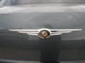 Magnesium Pearlcoat - 300 C HEMI Photo No. 22