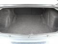 Magnesium Pearlcoat - 300 C HEMI Photo No. 30