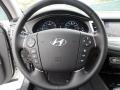 2012 Platinum Silver Metallic Hyundai Genesis 3.8 Sedan  photo #35