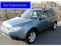 2009 Sage Green Metallic Subaru Forester 2.5 X Premium  photo #1