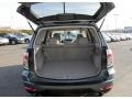 2009 Sage Green Metallic Subaru Forester 2.5 X Premium  photo #8